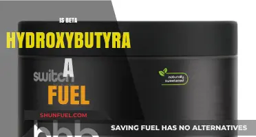Beta Hydroxybutyrate: A Powerful Alternative Fuel Source for the Body