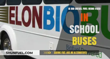 Biodiesel School Buses: The Green Transition