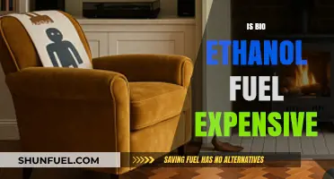 Is Bio Ethanol Fuel Expensive? Cost Analysis and Comparison