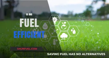 Is Biofuel Efficient? Exploring Sustainability and Energy Output