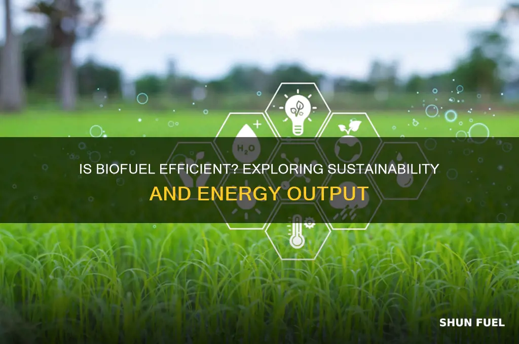 is bio fuel efficient