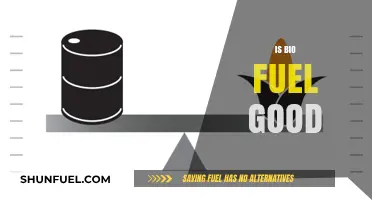 Biofuel Benefits vs. Drawbacks: Is It a Sustainable Energy Solution?