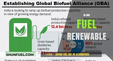 Is Biofuel Truly Renewable? Exploring Sustainability and Environmental Impact