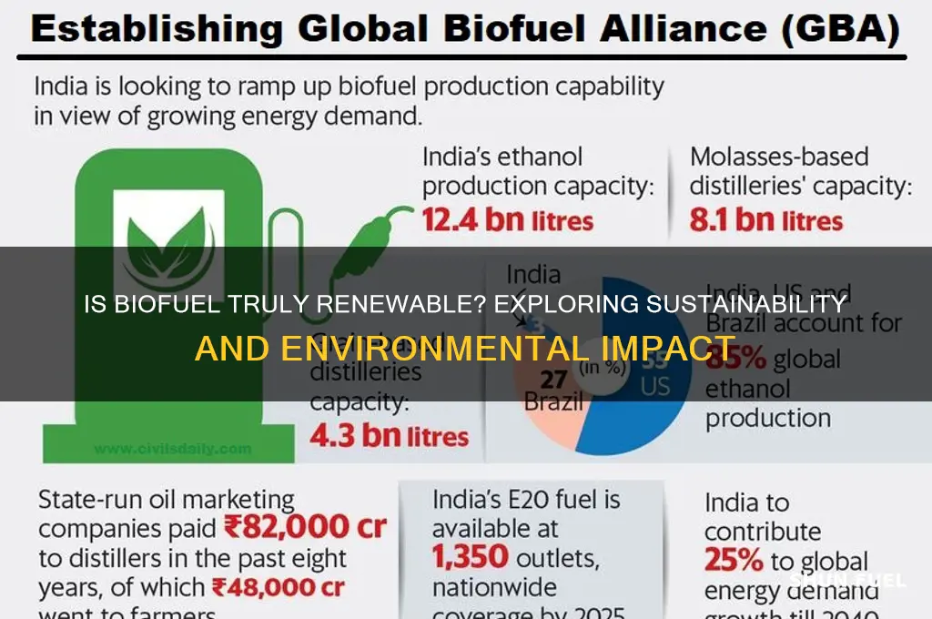 is bio fuel renewable