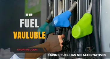 Is Biofuel Valuable? Exploring Its Benefits, Challenges, and Future Potential