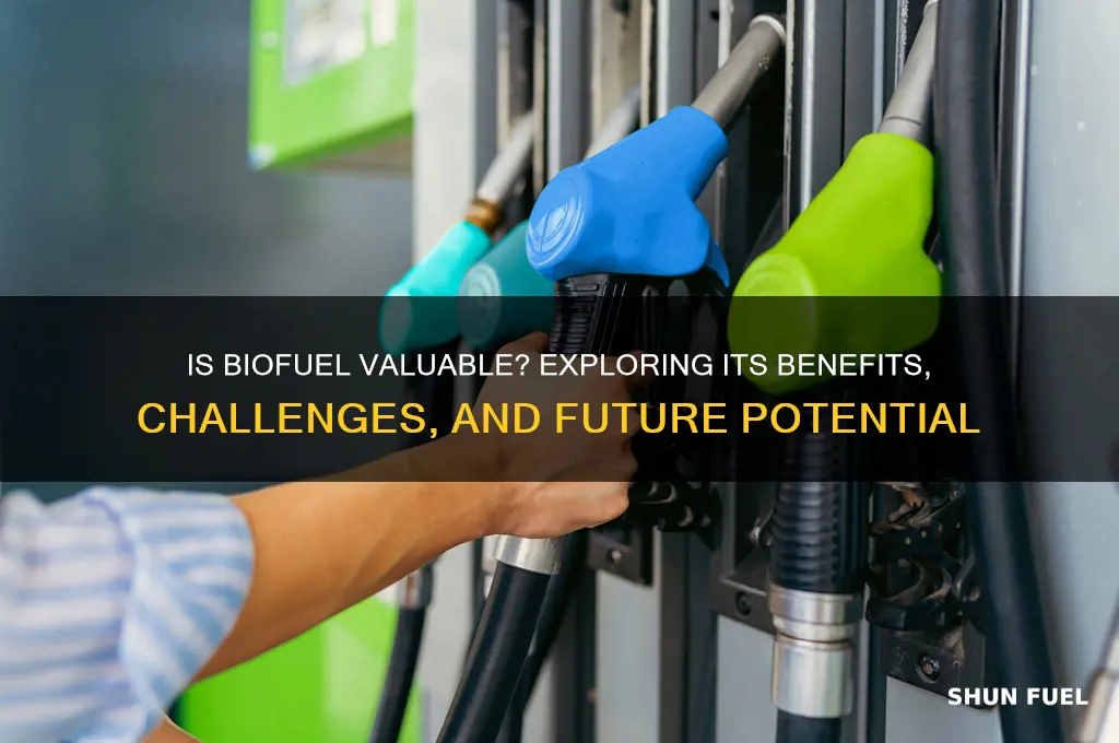 is bio fuel vauluble