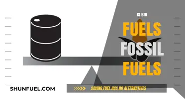 Biofuels: Fossil Fuel Alternative or Not?