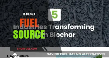 Biochar as a Sustainable Fuel Source: Benefits and Potential
