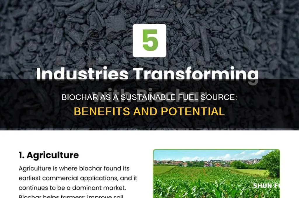is biochar fuel source