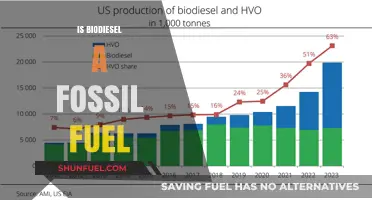 Biodiesel: Fossil Fuel or Renewable Energy?