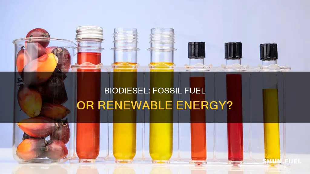 is biodiesel a fossil fuel