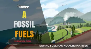 Biodiesel: A Green Alternative to Fossil Fuels?