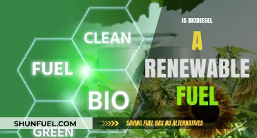Is Biodiesel a Renewable Fuel? Exploring Its Sustainability and Benefits