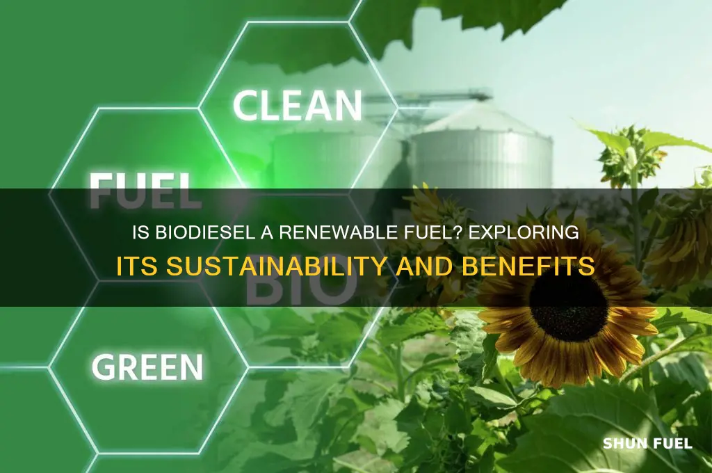 is biodiesel a renewable fuel