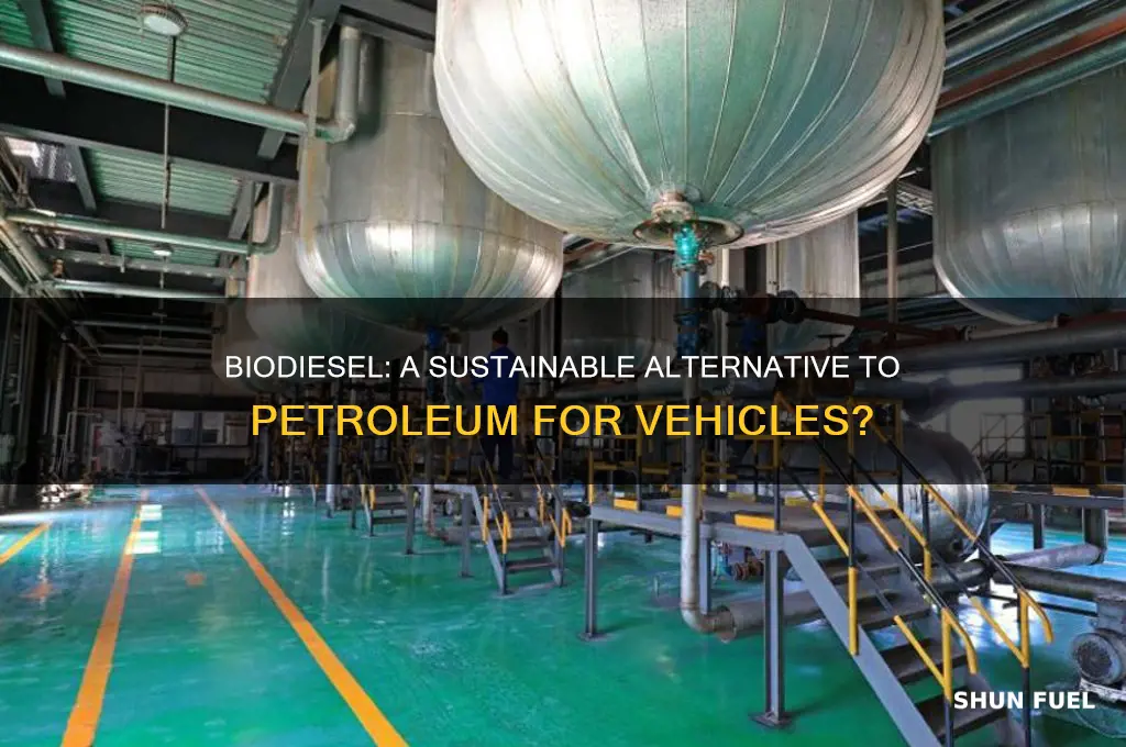 is biodiesel an alternative fuel for vehicles that use petroleum