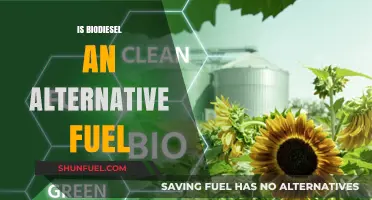 Biodiesel: A Sustainable Alternative Fuel for a Greener Future?