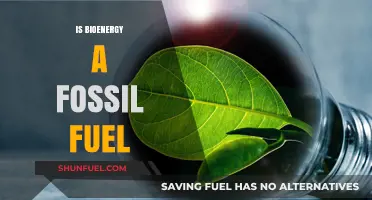 Bioenergy: Fossil Fuel or Renewable Energy Source?