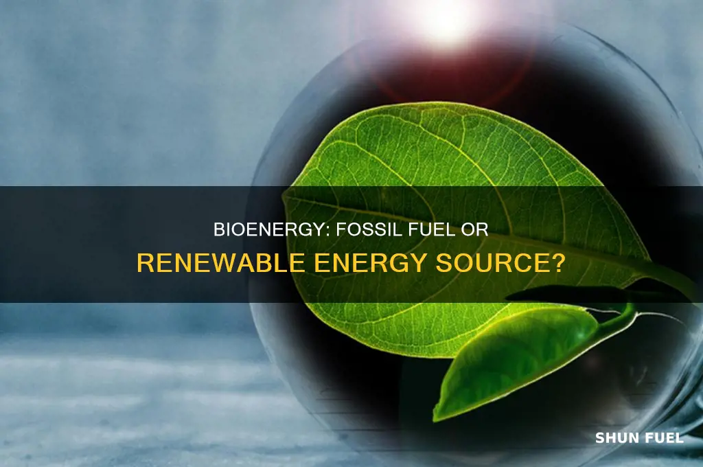 is bioenergy a fossil fuel