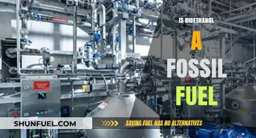 Bioethanol: Fossil Fuel or Renewable Energy?