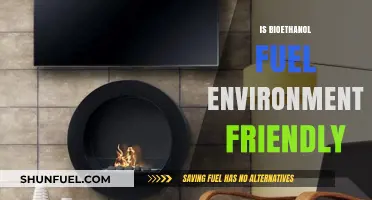 Bioethanol Fuel: A Green Solution or Environmental Dilemma?