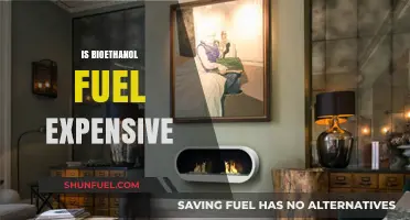 Bioethanol Fuel Costs: Is It an Affordable Alternative?
