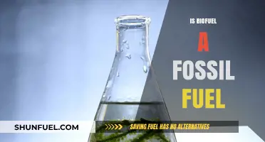 Biofuel vs Fossil Fuel: What's the Difference?