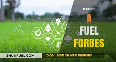 Biofuel: A Sustainable Fuel Alternative for Forbes' Future Energy Needs?