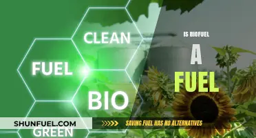 Is Biofuel a Fuel? Exploring Renewable Energy Alternatives