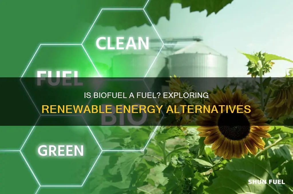 is biofuel a fuel
