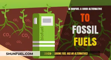 Biofuels: A Sustainable Alternative to Fossil Fuels?