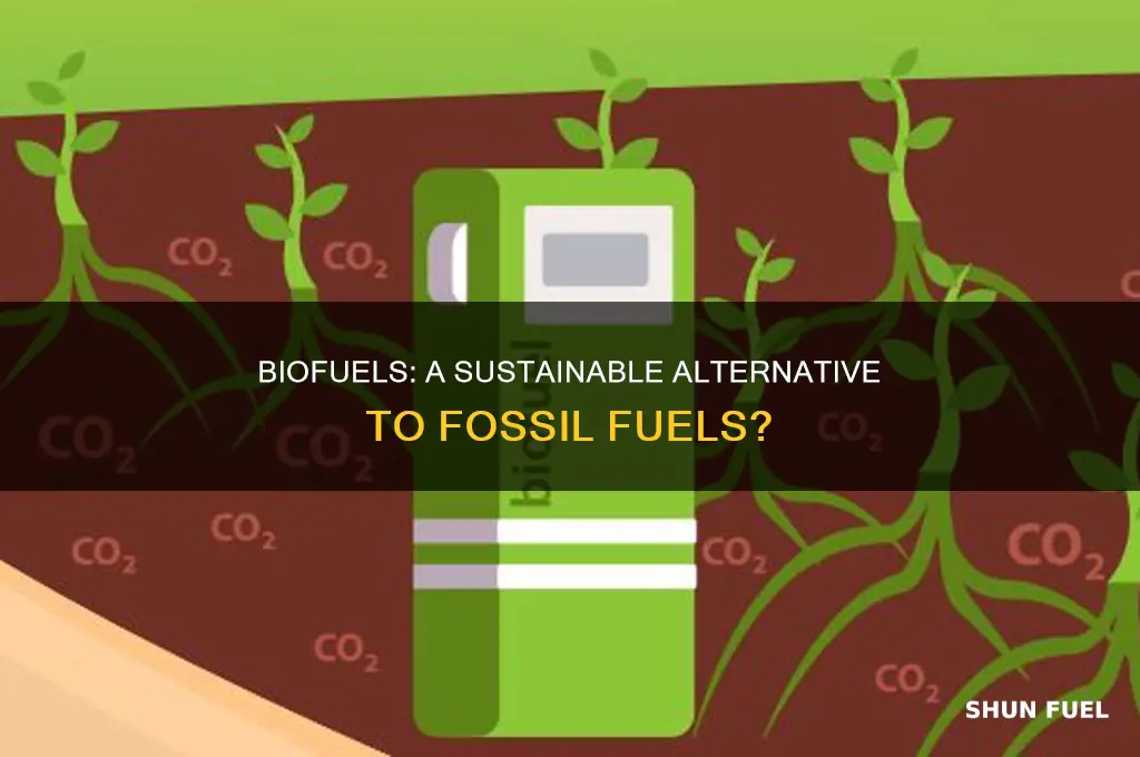 is biofuel a good alternative to fossil fuels