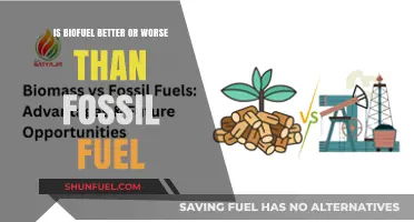 Biofuel vs Fossil Fuel: Pros and Cons
