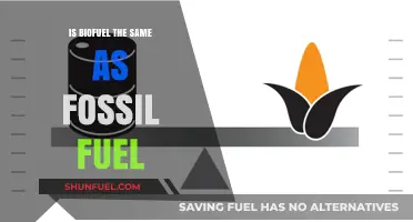 Biofuel vs Fossil Fuel: What's the Difference?