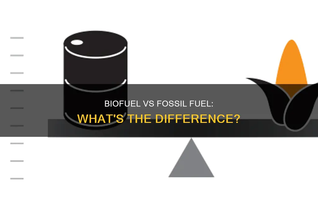 is biofuel the same as fossil fuel