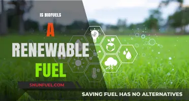Biofuels: A Sustainable Renewable Fuel Source or Green Myth?