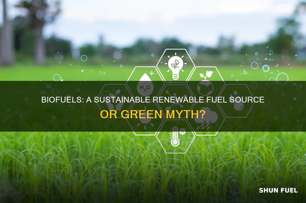 is biofuels a renewable fuel