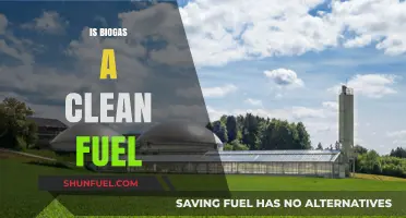 Is Biogas Truly Clean? Exploring Its Environmental Impact and Benefits
