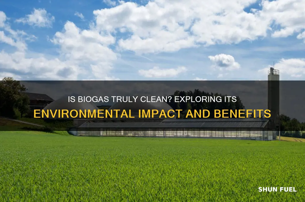 is biogas a clean fuel