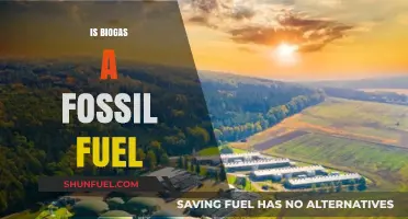Biogas: Fossil Fuel or Renewable Energy?