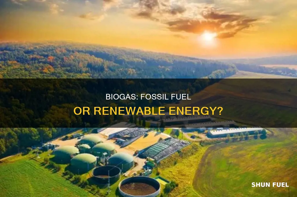 is biogas a fossil fuel