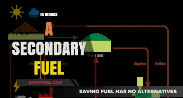 Is Biogas a Secondary Fuel? Exploring Its Role in Energy Systems