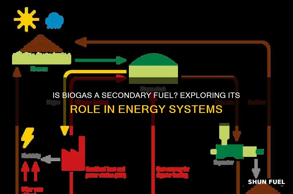 is biogas a secondary fuel