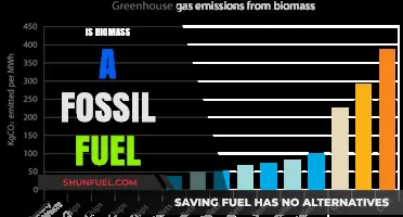 Biomass: Fossil Fuel or Renewable Energy Source?