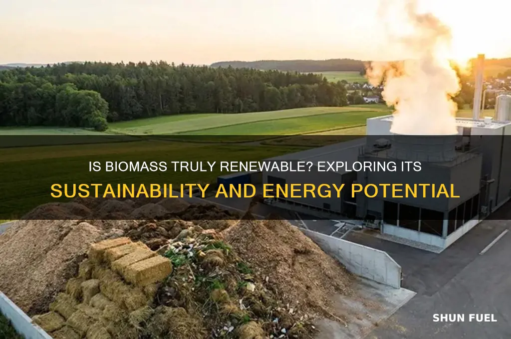 is biomass a renewable fuel