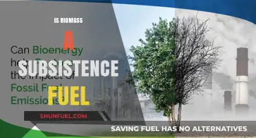 Biomass as Subsistence Fuel: Sustainable Energy or Environmental Dilemma?