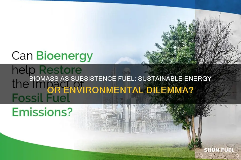 is biomass a subsistence fuel