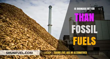Biomass vs Fossil Fuels: A Greener Energy Alternative?