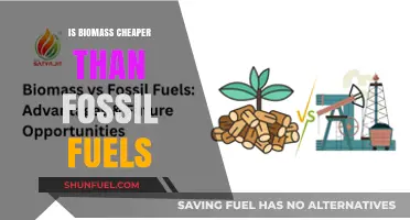 Biomass: Cheaper Energy Alternative to Fossil Fuels?