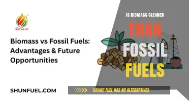 Biomass Energy: Cleaner Than Fossil Fuels?
