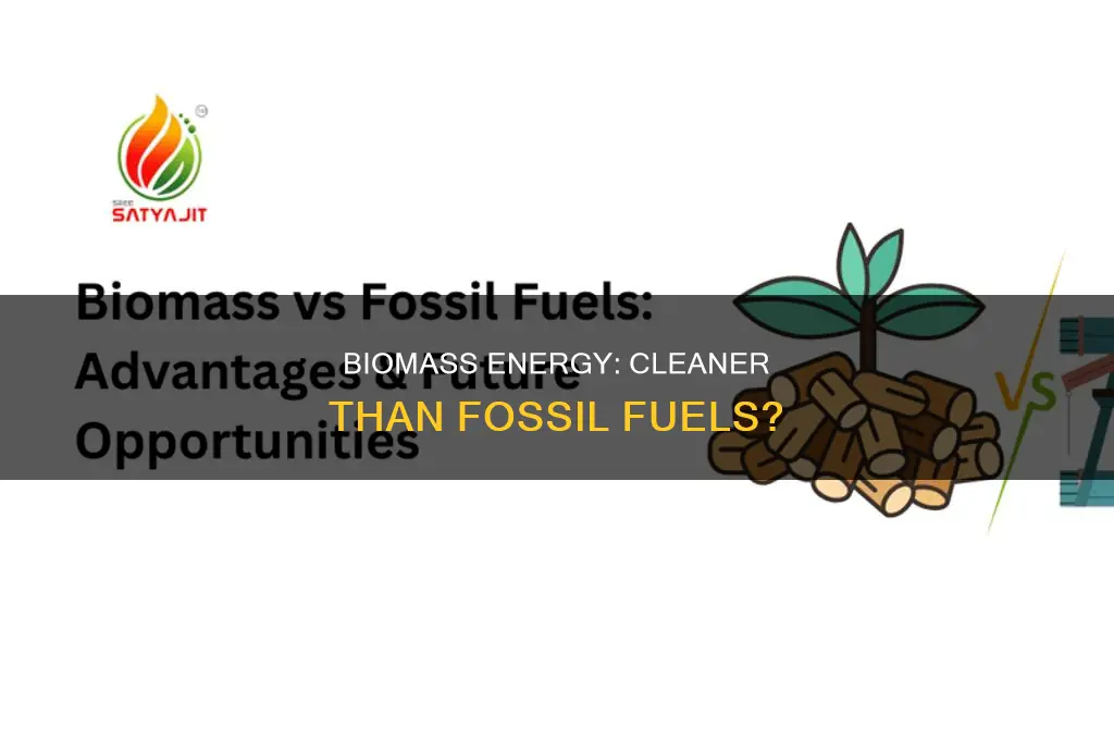is biomass cleaner than fossil fuels